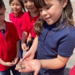 2022 May DLA kinder butterfly release day